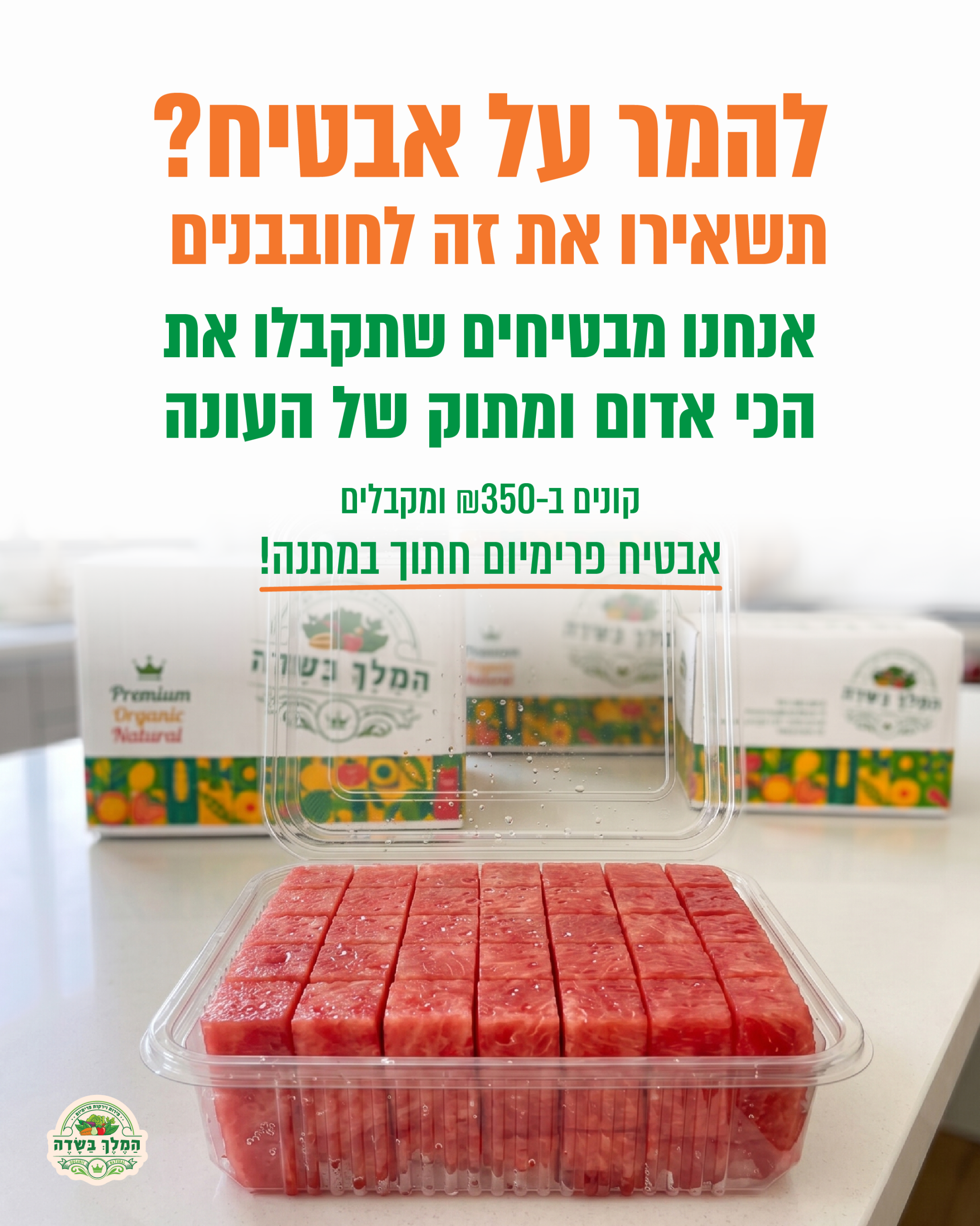 013 גרפיקות חדשות-09