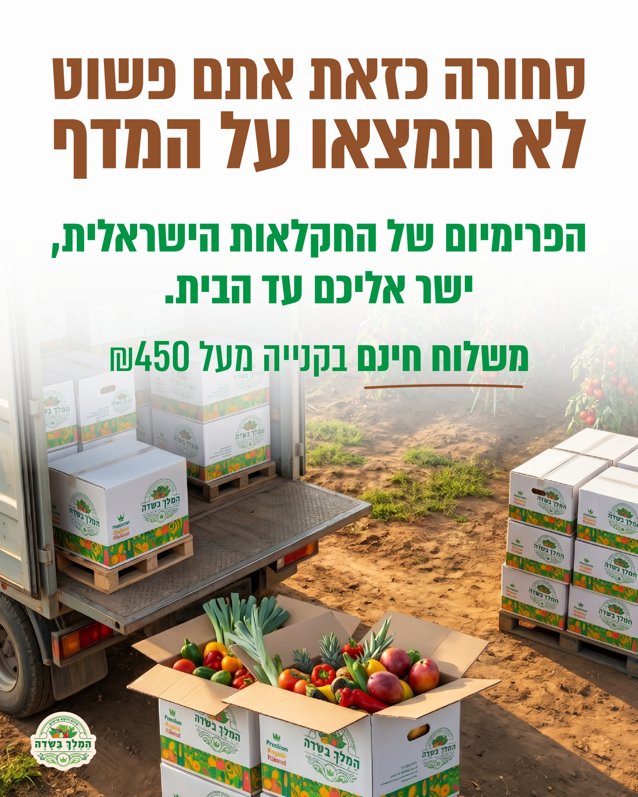013 גרפיקות חדשות-11