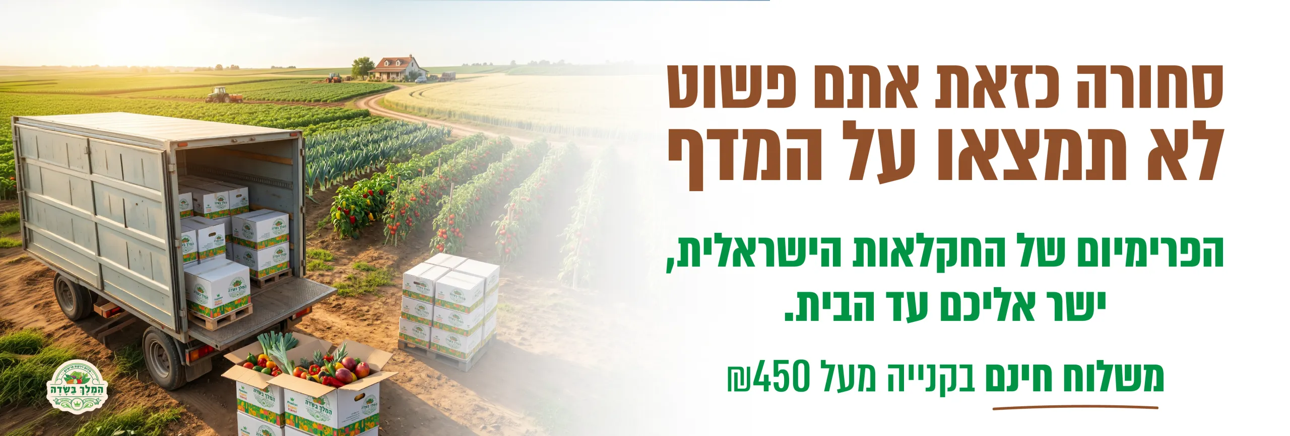 013-גרפיקות-חדשות_Artboard-2-copy-2-scaled_compressed