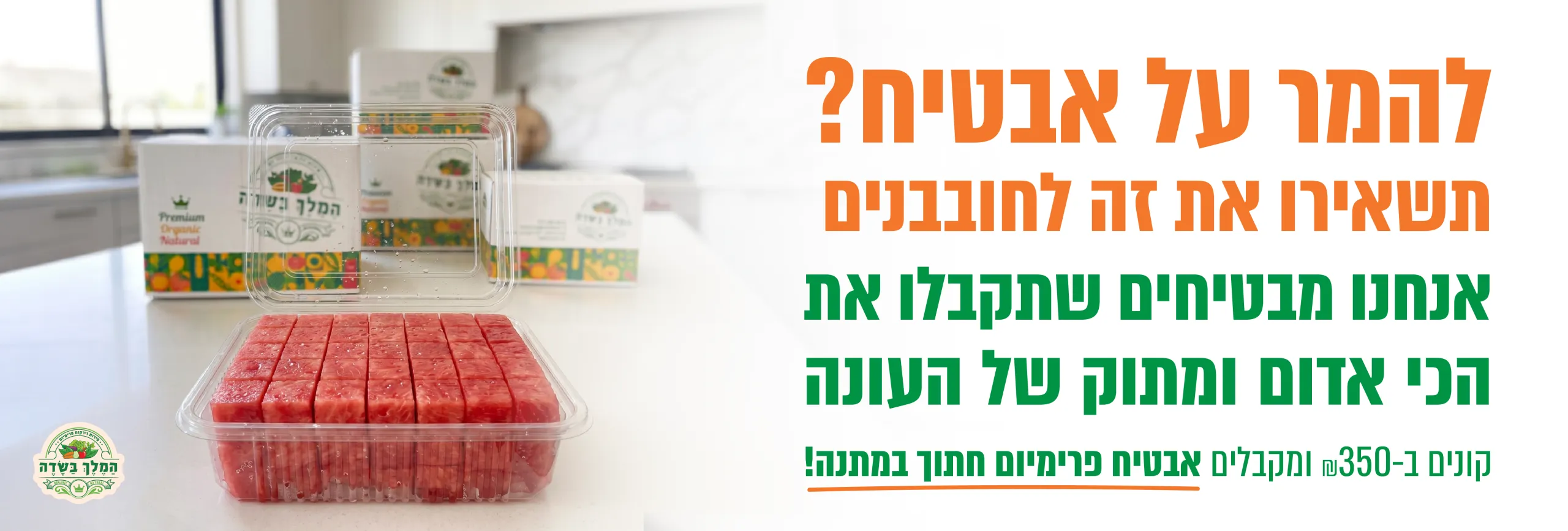 013-גרפיקות-חדשות_Artboard-2-copy-scaled_compressed