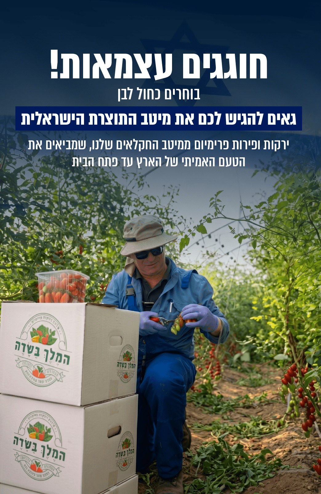 באנר-מובייל-עצמאות_optimized