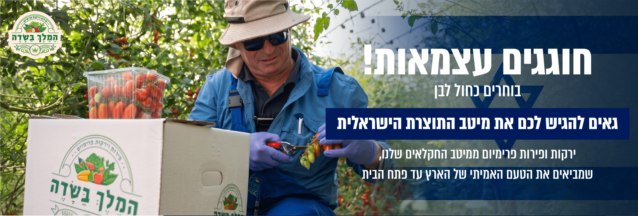 עצמאות-26-03_optimized